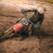 MXGP: Ducati comienza su temporada de debut con resultados muy positivos