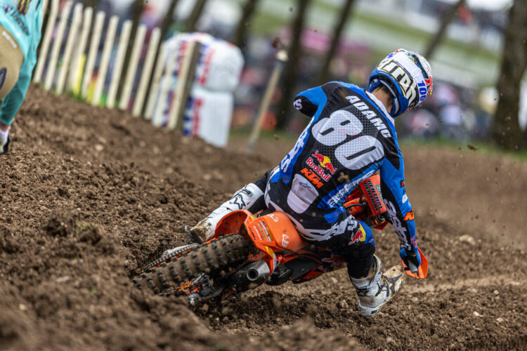 MX2, St Jean d’Angely: Andrea Adamo vuelve a la senda del triunfo